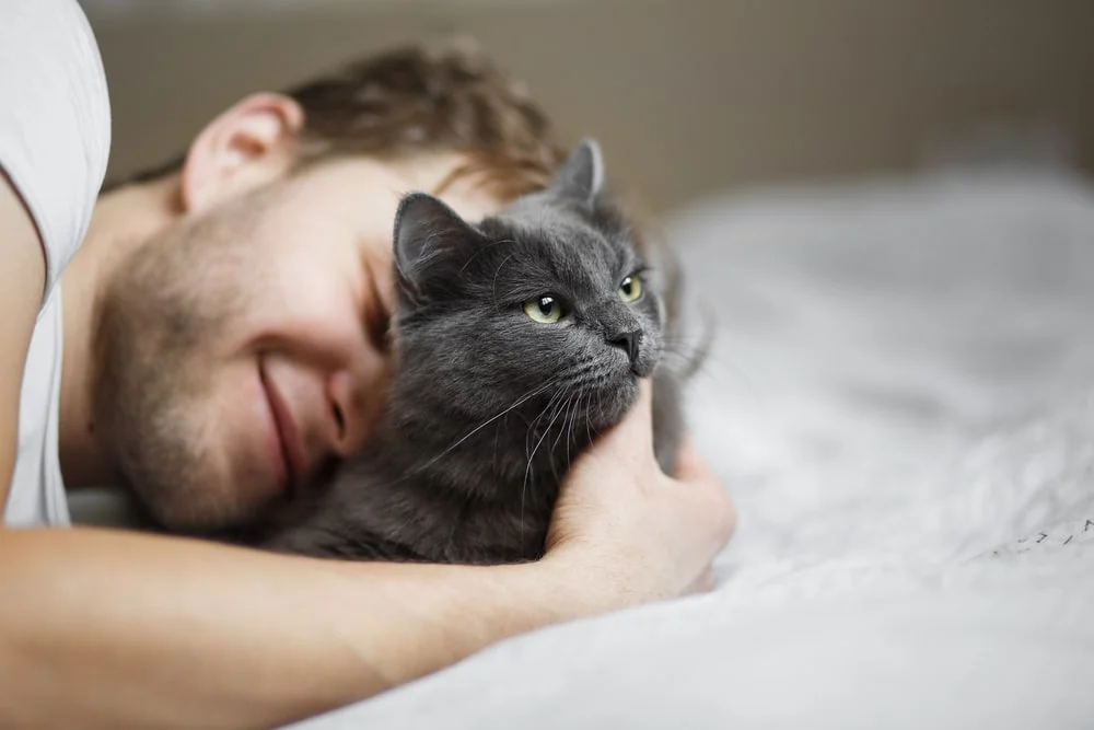 A bearded person in bed cuddles with a dark-grey cat.
