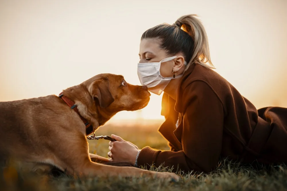 Dog getting a kiss from their owner who is wearing a mask