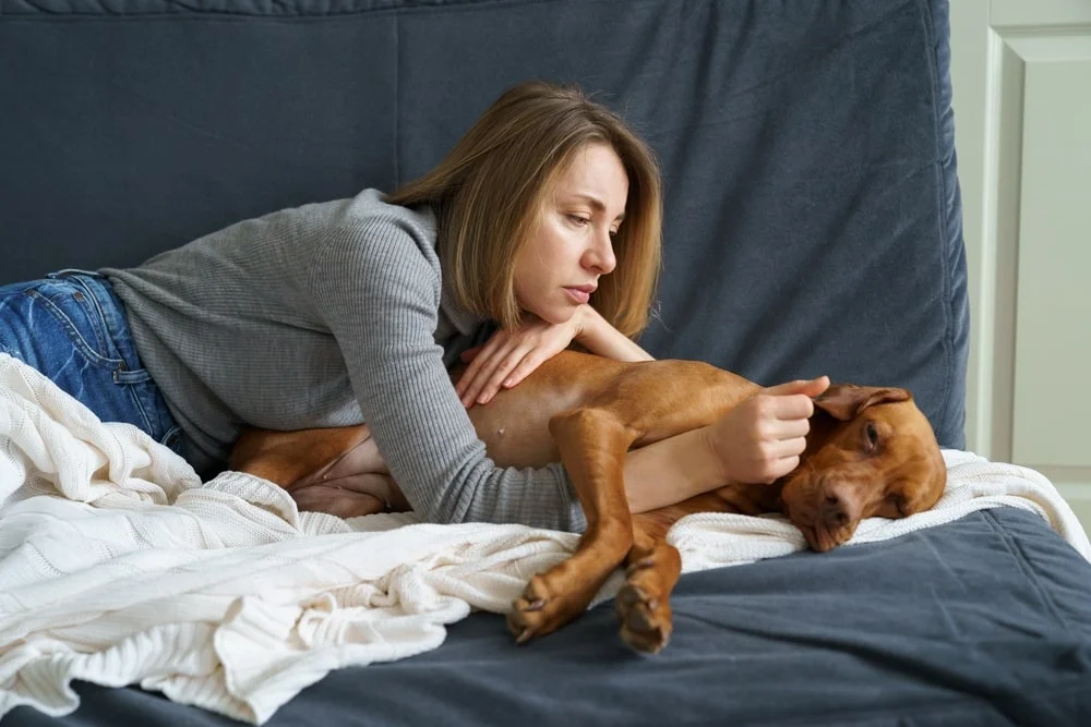 A woman pets and lays down with her vizsla breed dog. 