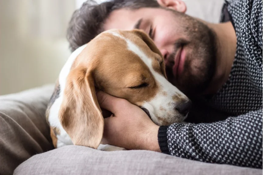 A man lying beside his dog while resting his hand over it