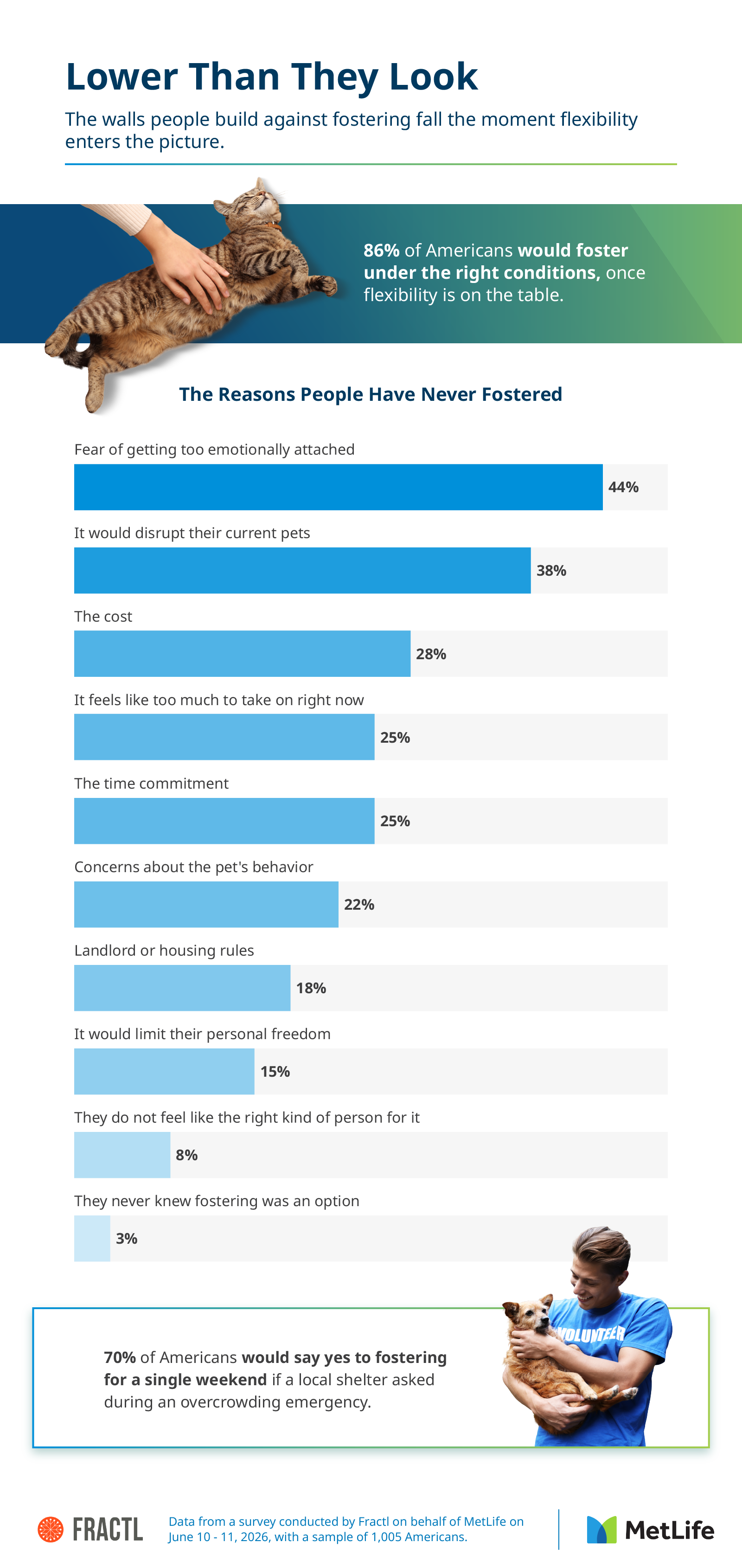 Infographic ranking the reasons people have never fostered, from attachment fears to cost, housing, and time.