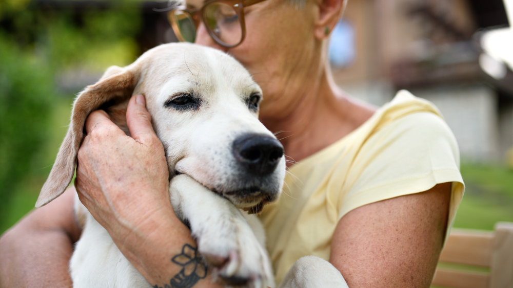 A woman giving her dog a kiss