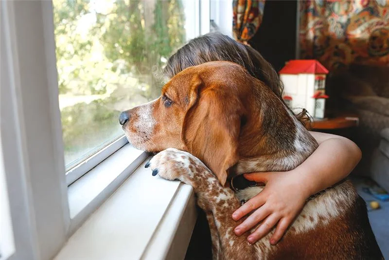 Girl looking out the window with her dog