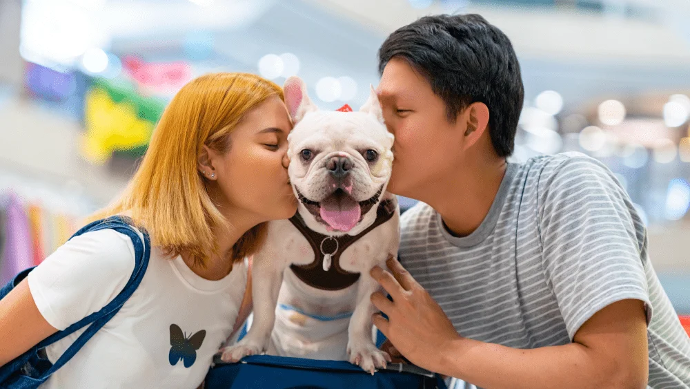 A couple kisses their happy French bulldog on each cheek inside a shopping mall.