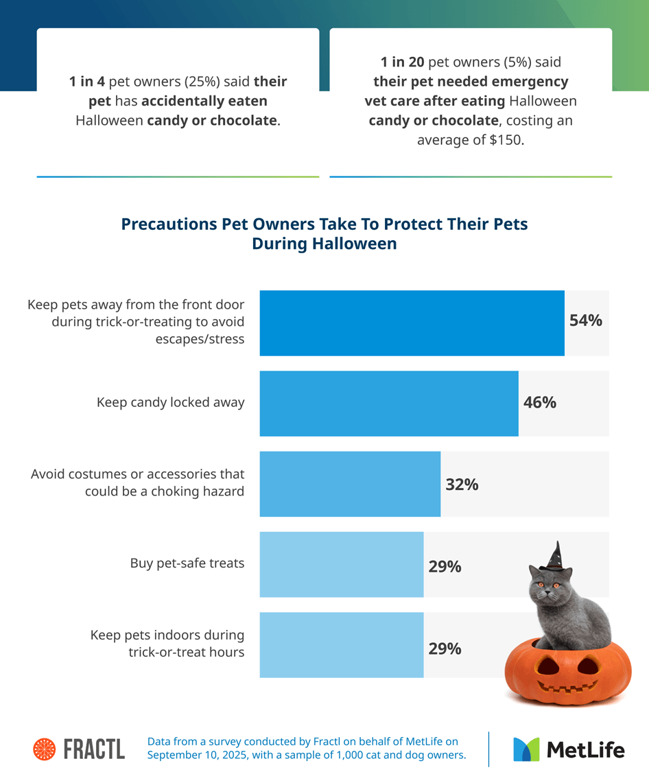 Infographic showing that 1 in 4 pets have eaten Halloween candy, with owners taking precautions like keeping candy locked away and buying pet-safe treats.