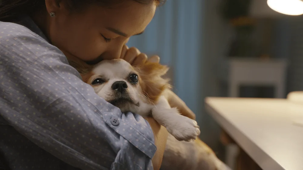 Woman hugging and kissing a small dog for comfort.