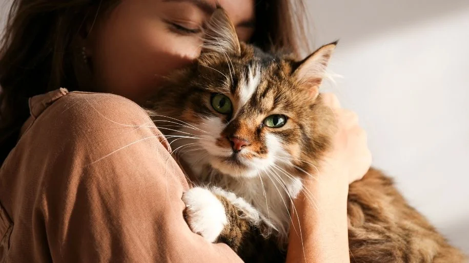 A young woman closes her eyes cuddling her multi-colored long-haired cat closely as it looks into the camera.