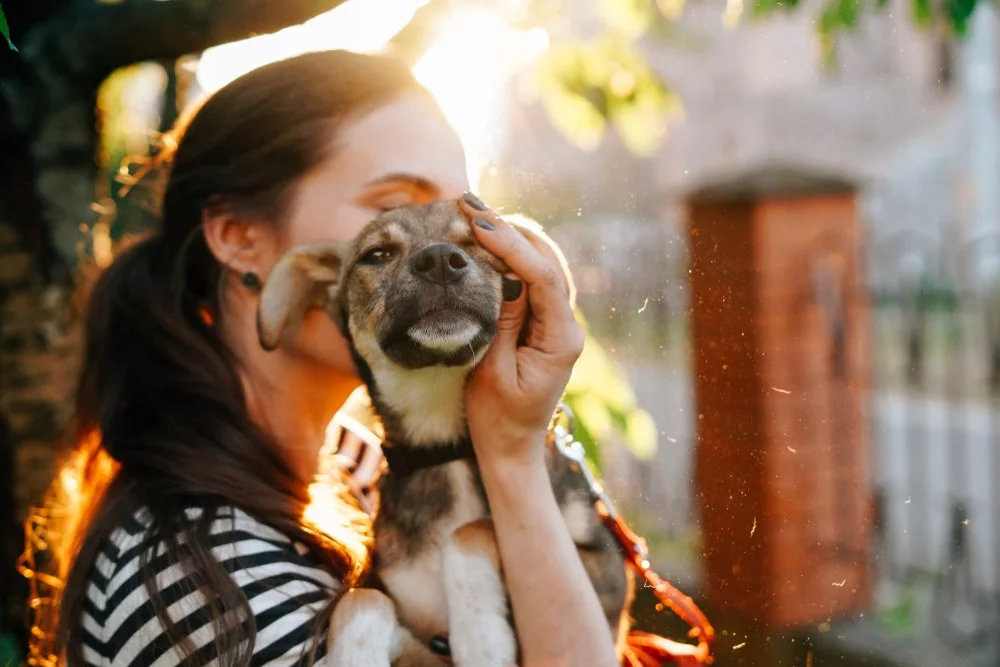 happy dog being held by its owner