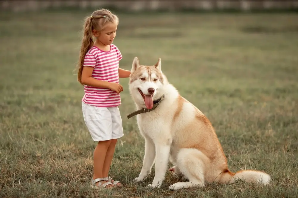 Little girl with her dog