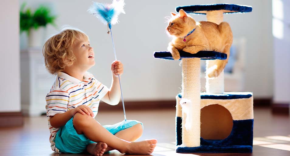 A young child sits next to a cat tree and holds a wand toy, while an orange cat lounges in the tree.  