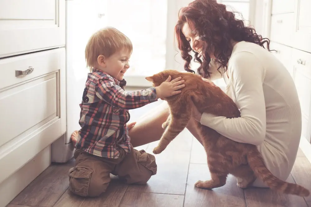 A smiling woman holding a yellow cat, and a young boy petting the cat.