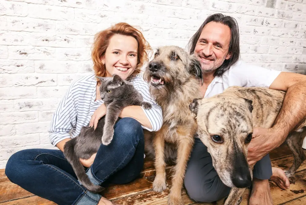A family picture of a couple with their two dogs and cat.