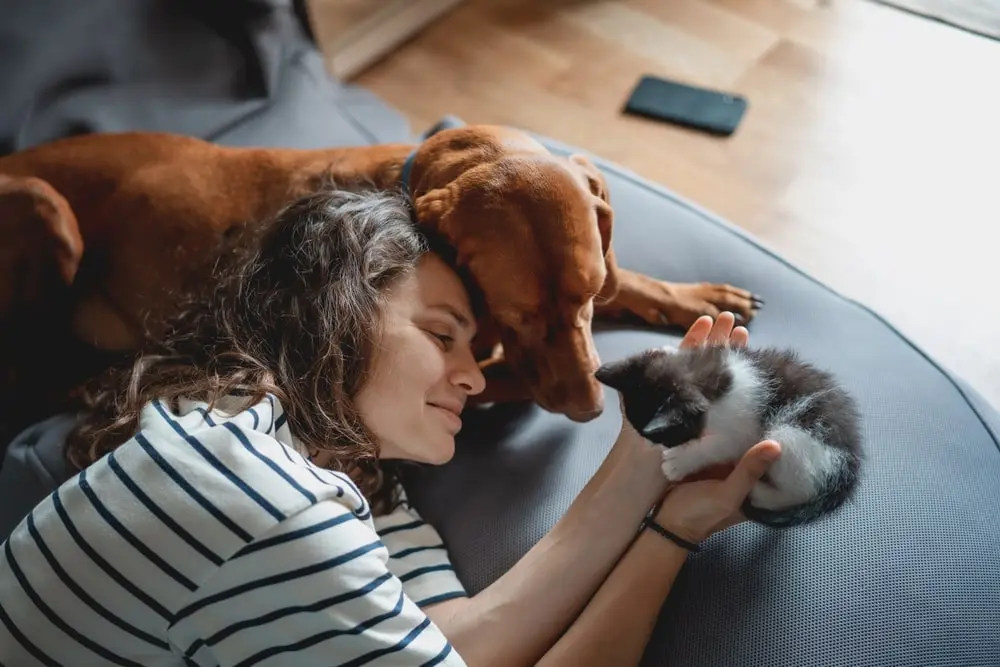 A young woman laying with a brown dog and holding a kitten in her hands.