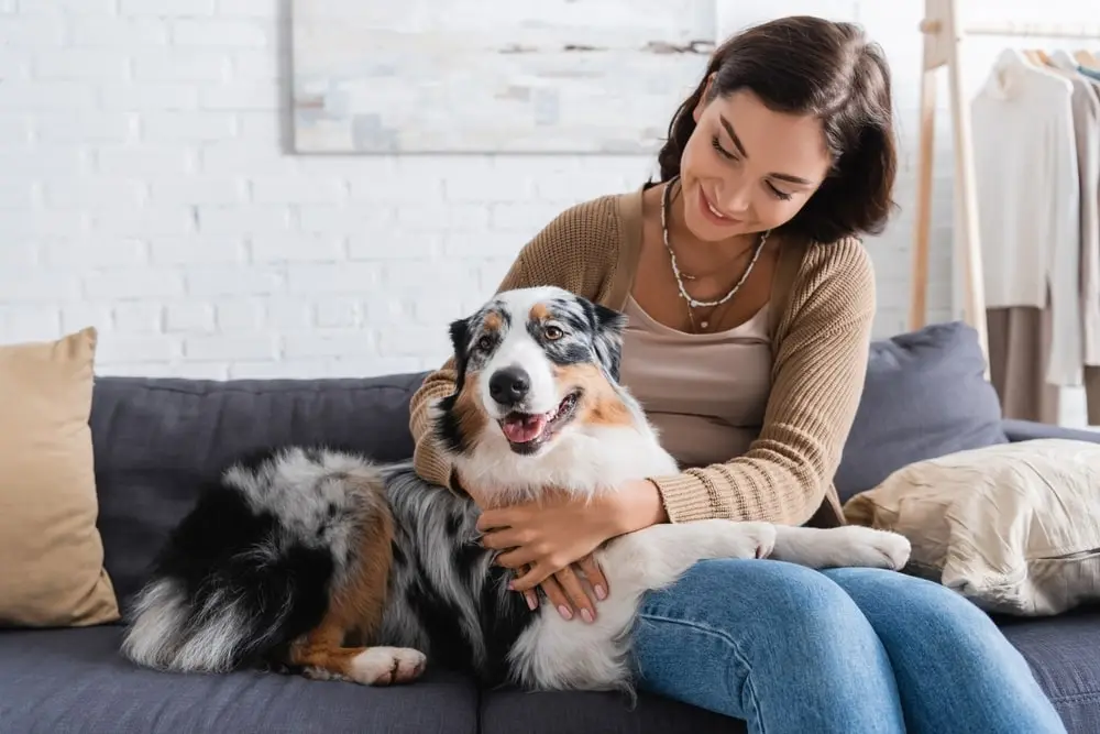 A smiling young woman cuddling with a brown and white Australian shepherd. 
