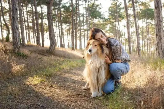 A woman hugs her dogs on a trail in the woods.