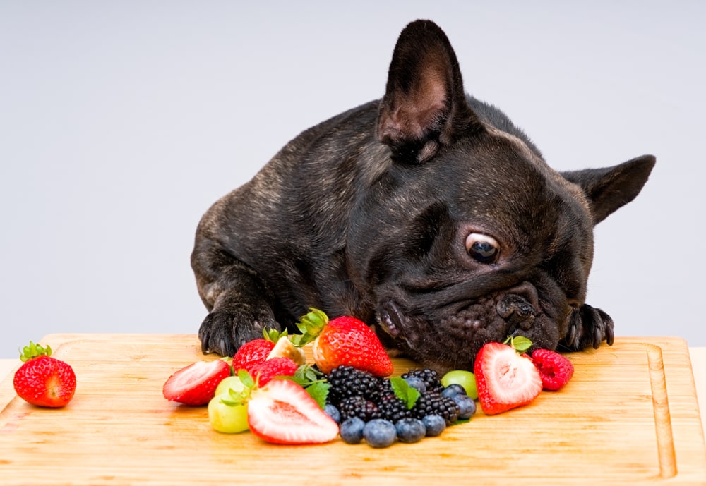 what vegetables can dogs eat safely