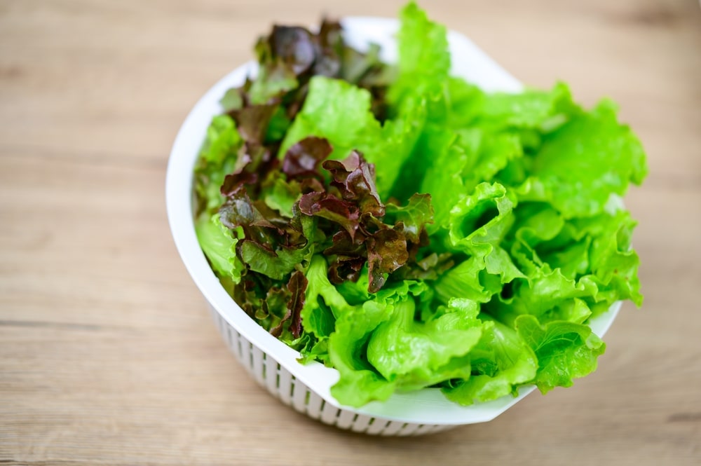 A close-up on a bowl of salad