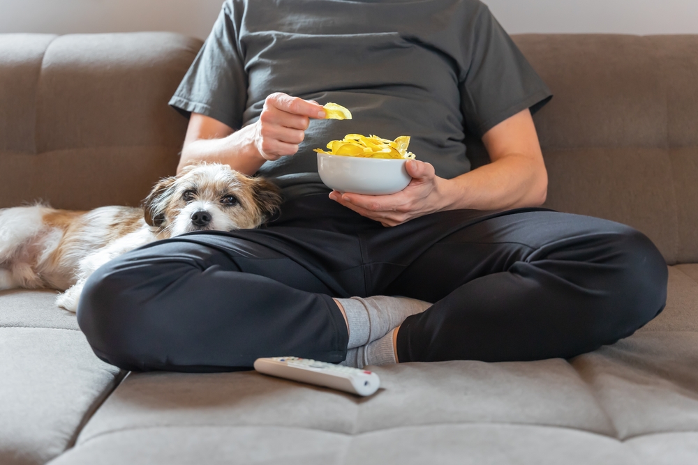 A person sitting cross-legged on a couch with a bowl of potato chips and their dog in their lap.