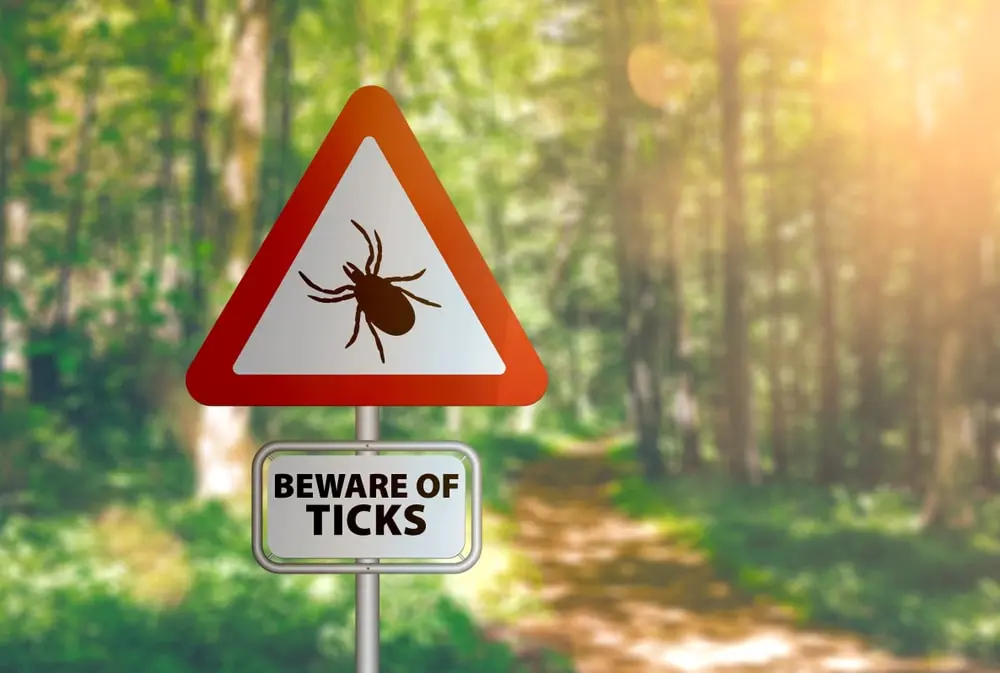 A closeup “beware of ticks” warning sign.