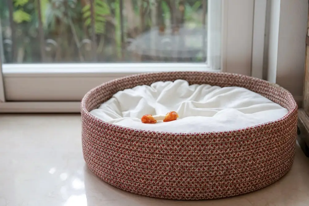 Empty dog bed in front of a window.