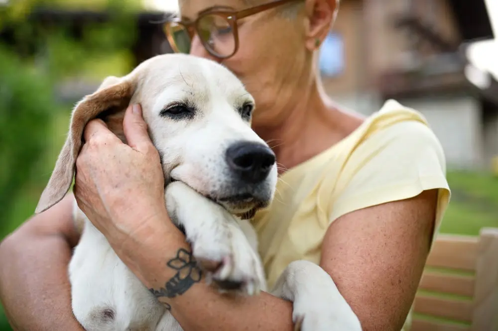 A woman holding her senior dog. 