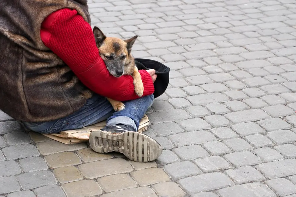 A homeless person sitting on the ground with a dog in their lap.