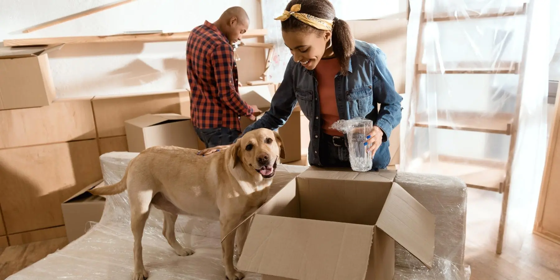 10 Tips on Relocating With Your Pet - MetLife Pet Insurance 