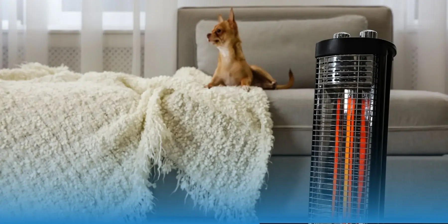 Are Space Heaters Safe Around Pets? - MetLife Pet Insurance 