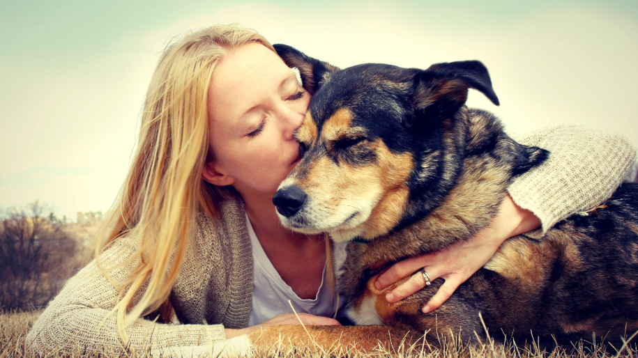 How To Find A Pet Sitter MetLife Pet Insurance