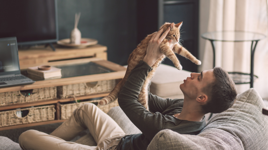 Should I Declaw My Cat? MetLife Pet Insurance