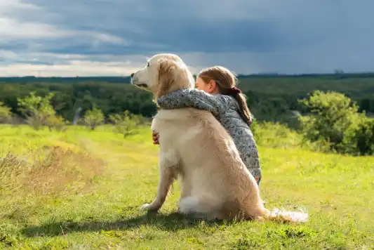 Should You Hug Your Dog?