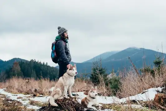 Winter Hiking With Your Dog - MetLife Pet Insurance 