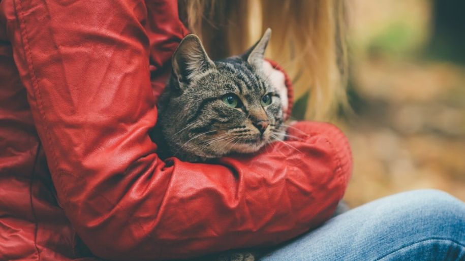 6 Shocking Pet Health Statistics