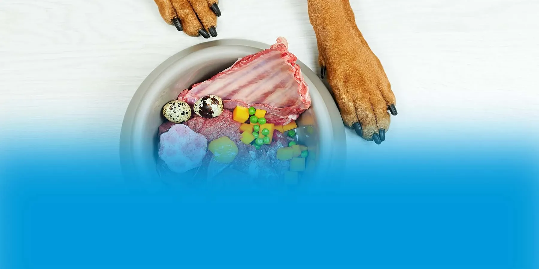 Dog paws above a bowl of food with peas in it