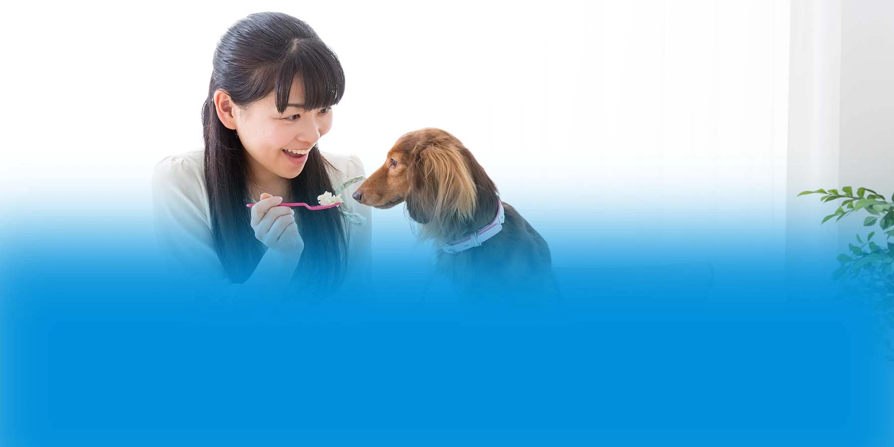 A young woman spoon feeding her dog rice. 