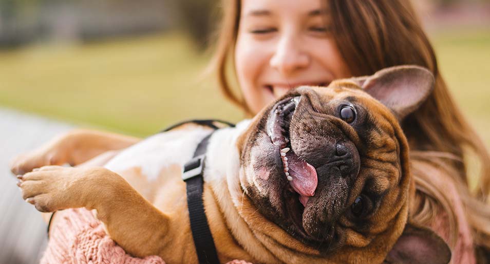 Pet parent holding their dog. Both smiling brightly.