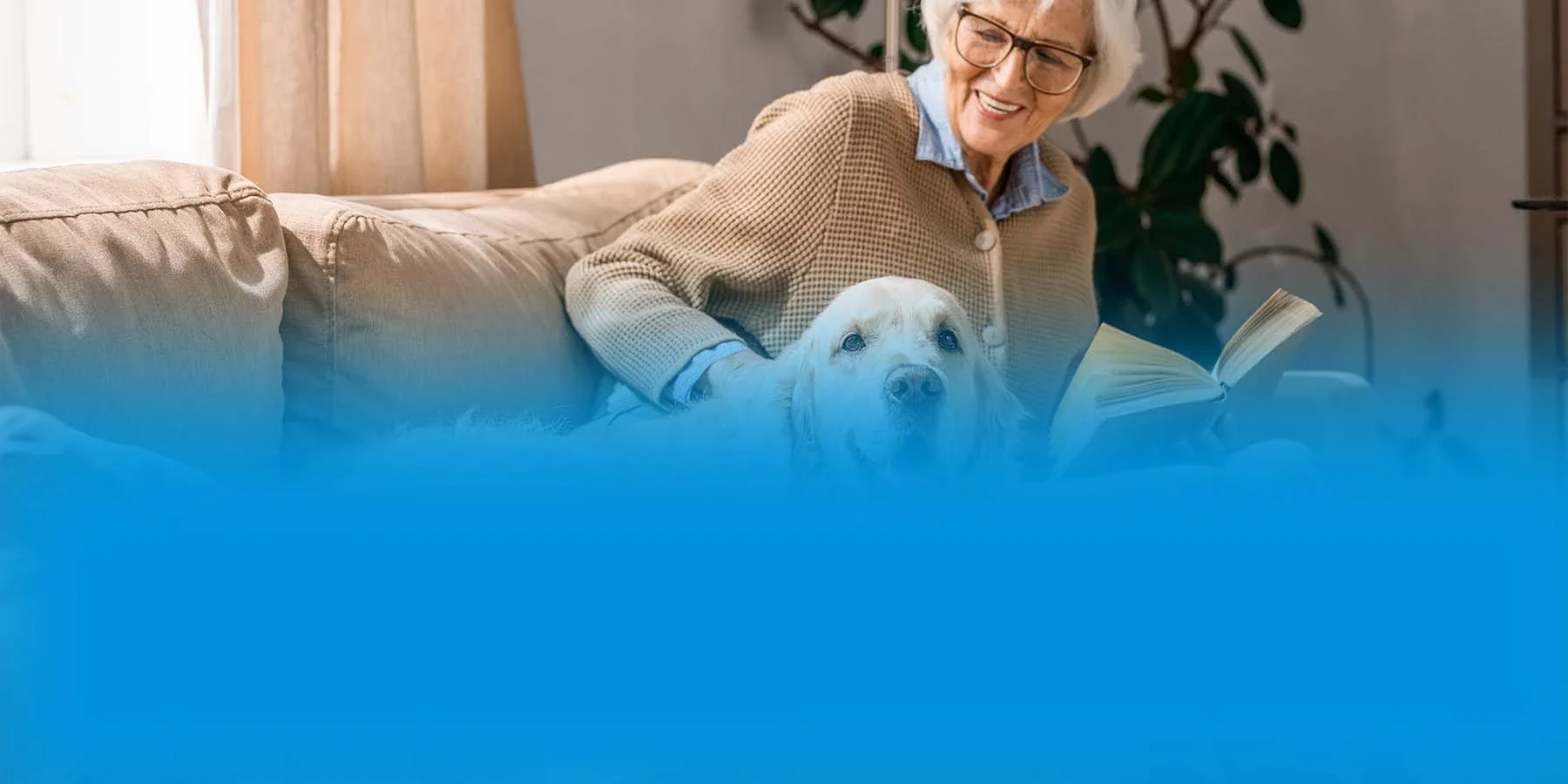 : A woman with gray hair pets her resting golden retriever.