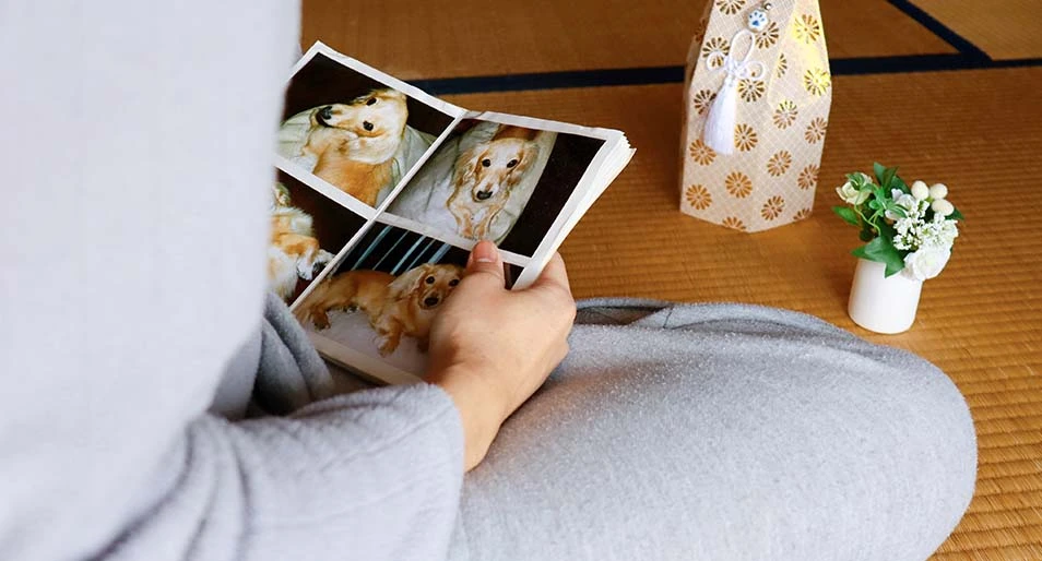 A person reminiscing over photos of their dog and its urn. 