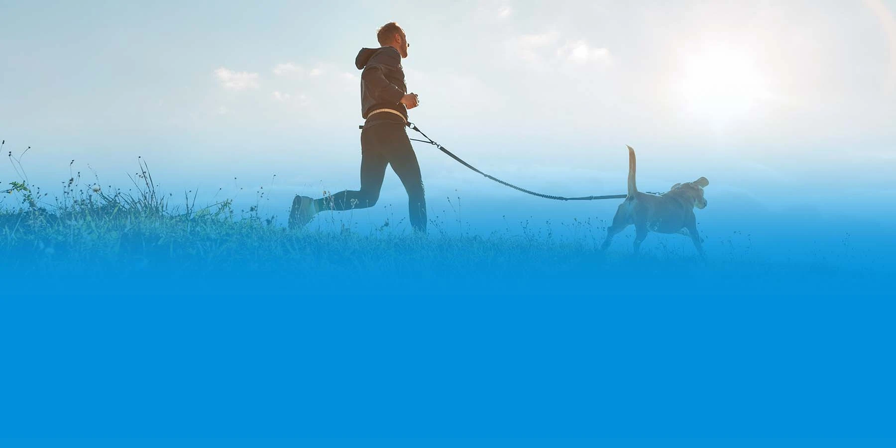 A man jogging with his dog with a leash attached to his waist. 