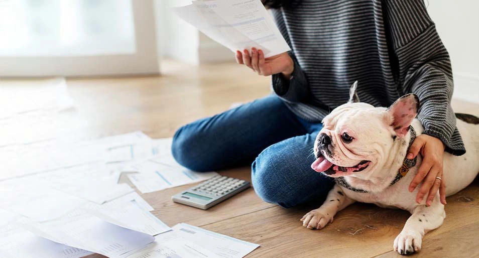 A French bulldog sits on the floor with their owner surrounded by papers and a calculator.