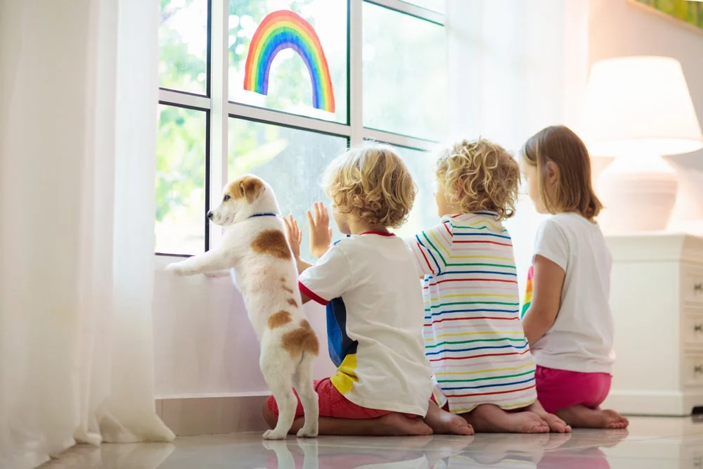 Three children and a brown and white puppy peer through a sunny window.