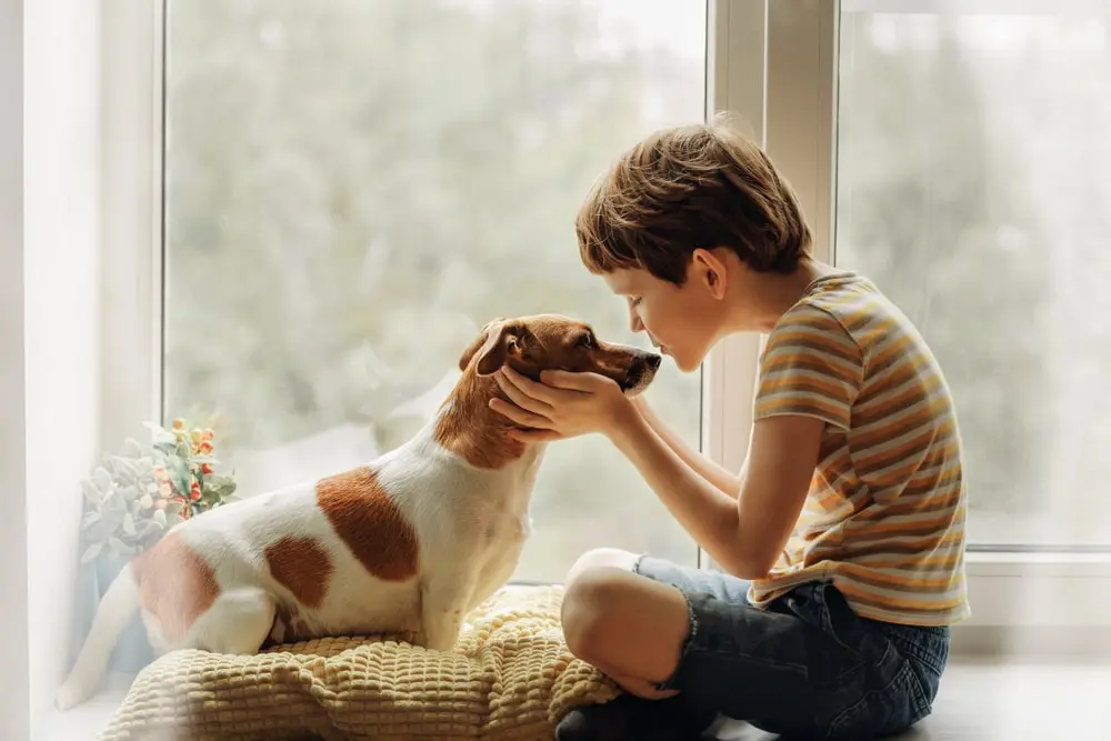 Young boy kissing dog on the nose