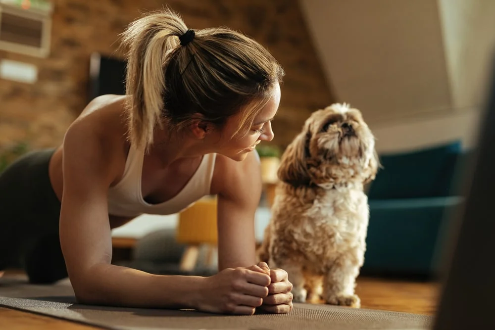 A person in athletic wear planks beside a small curly-haired dog.