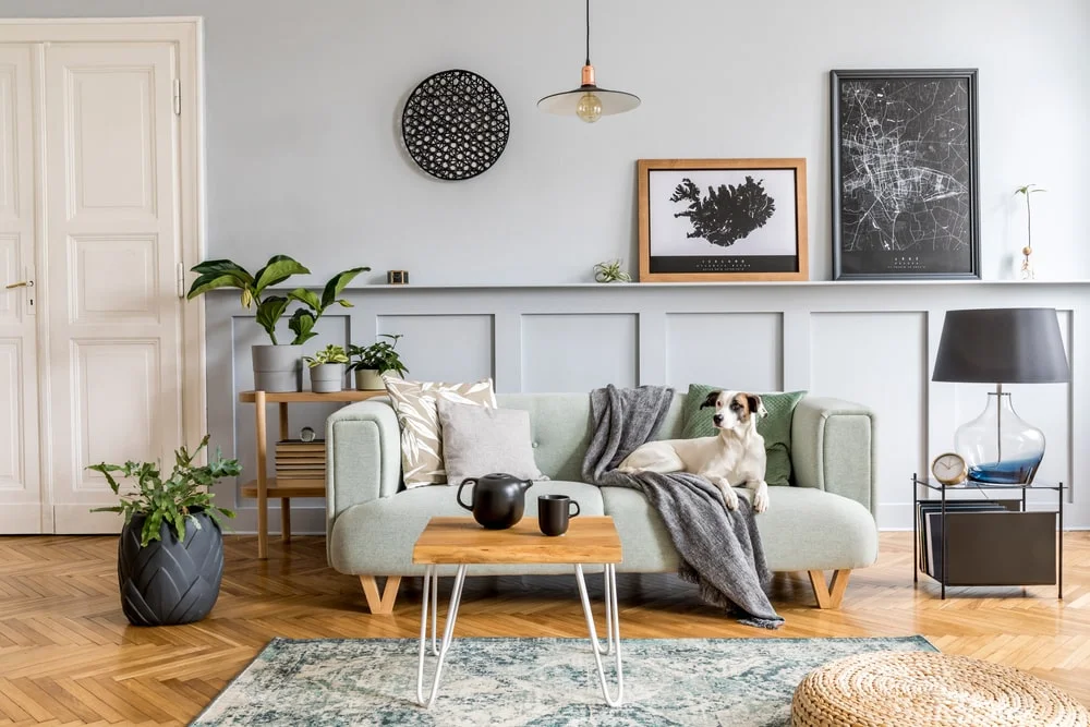 A dog rests on a mint sofa in a bright modern apartment.