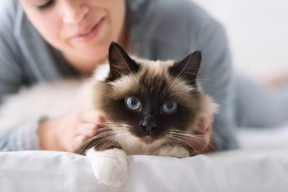 Smiling woman laying on a bed holding her cat.