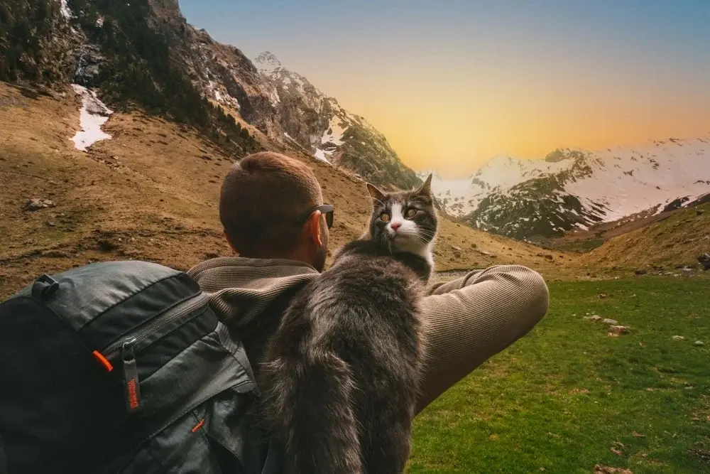 A black and white cat perches on the shoulder of its owner as they explore a mountain valley.