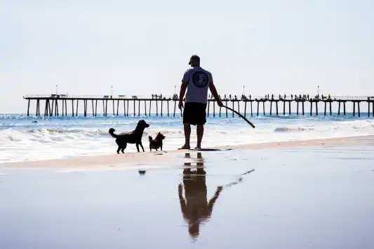 A man playing fetch with his two dogs on the beach in New Jersey
