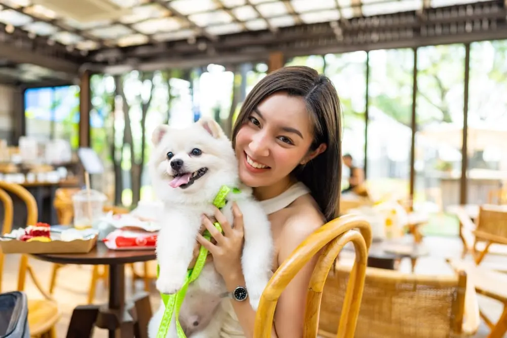 A woman in a sunny cafe holds her happy little white dog.
