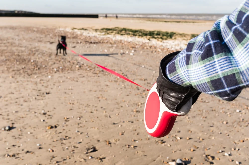 A person in blue flannel holds a red retractable leash on a beach with a dog at the other end.