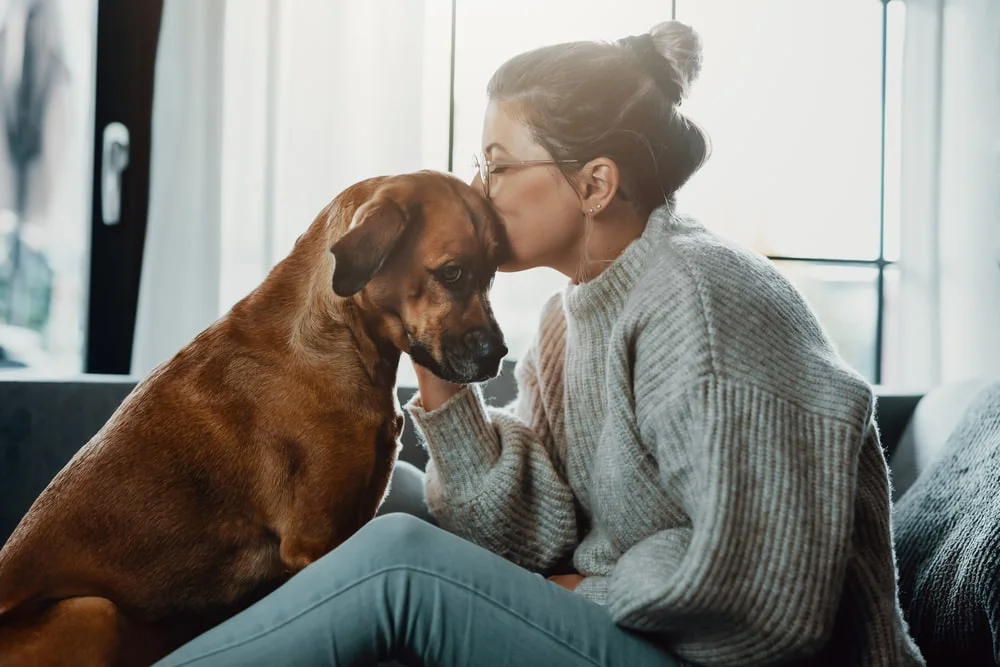 A woman in a grey sweater kisses the head of her brown dog.